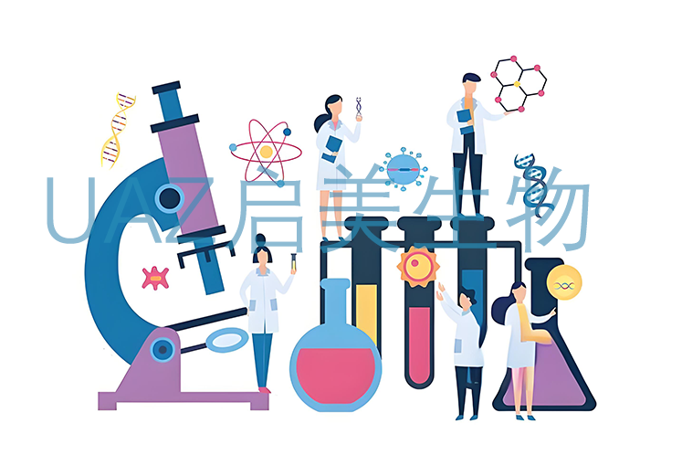 启美生物在纳米级玻尿领域取得突破性进展