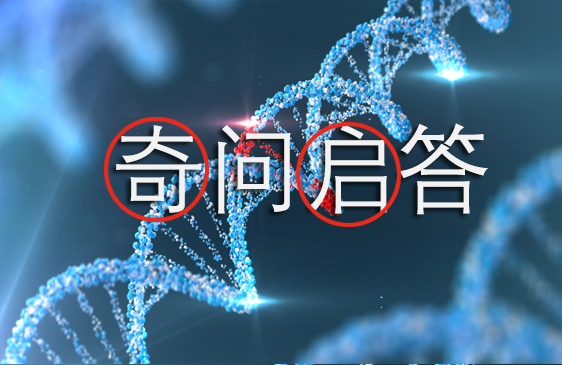 关于纳米级透明质酸的相关问题