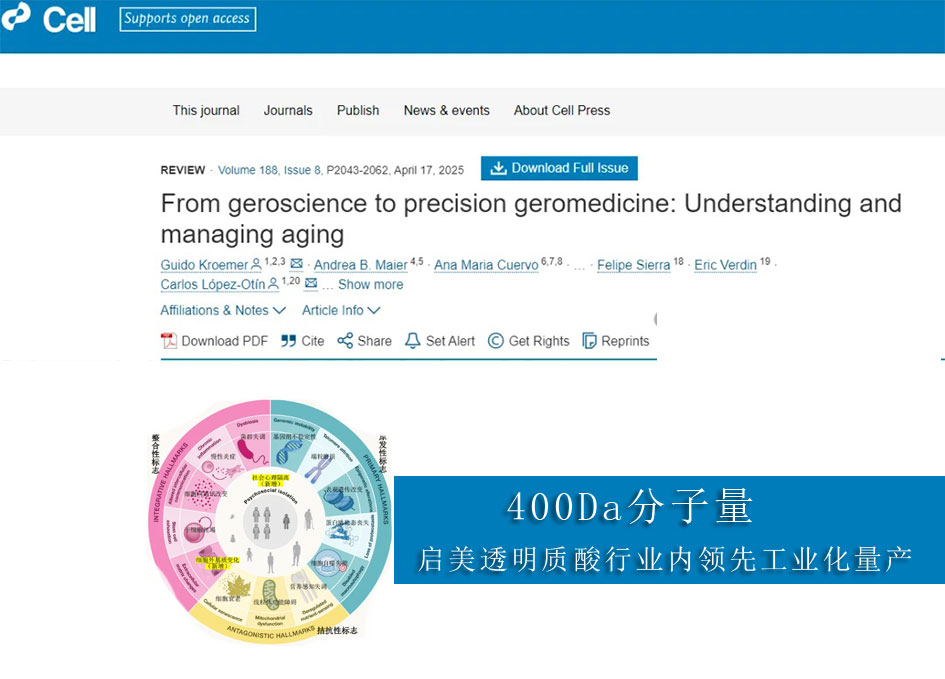 《Cell》期刊于2025年4月发布第13大衰老标志物，启美微400玻尿酸发挥关键性作用