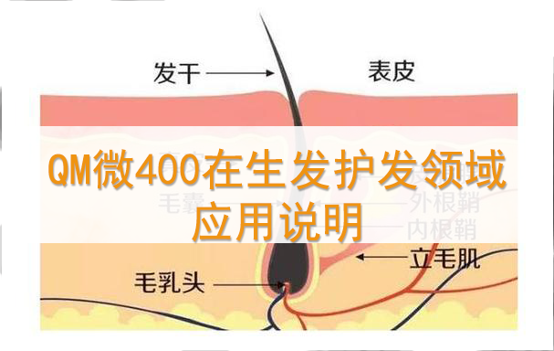 启美微400透明质酸在生发护发领域机理研究